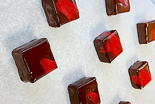 サイトオープン